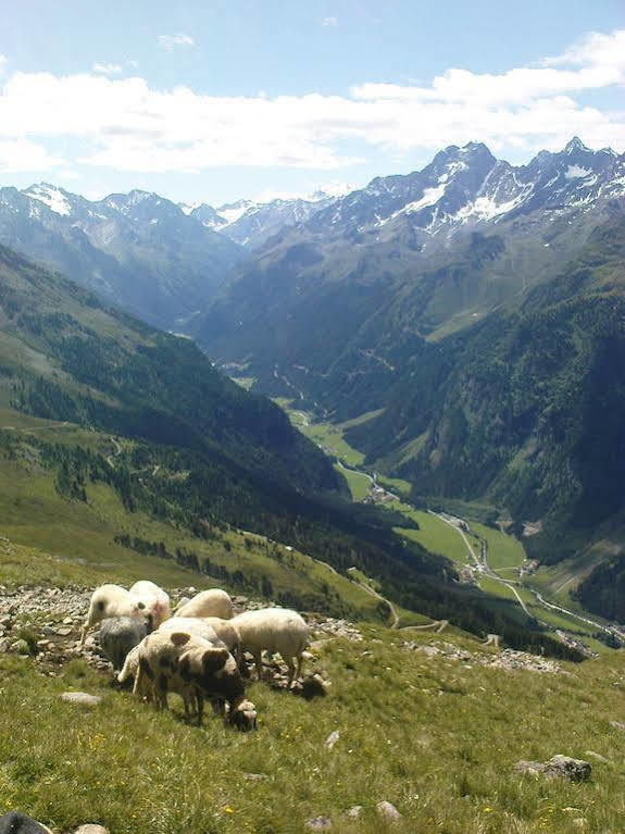 Ferienwohnung Bergspitz Sankt Leonhard im Pitztal Buitenkant foto